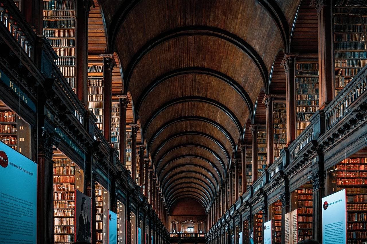 University library bookshelves